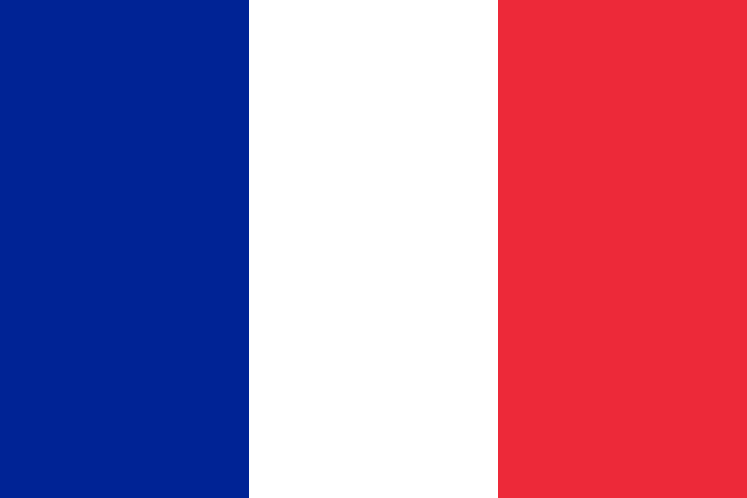 Server Flag Icon