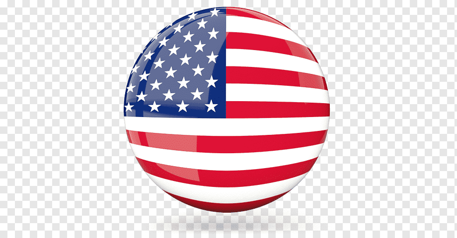 Server Flag Icon